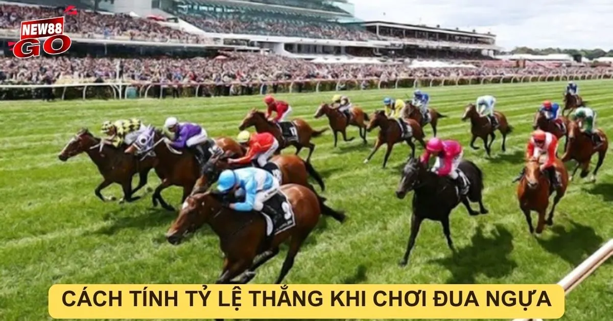 Cách tính tỷ lệ thắng khi chơi đua ngựa